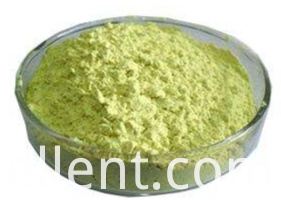 케르세틴 분말 quercetin powder